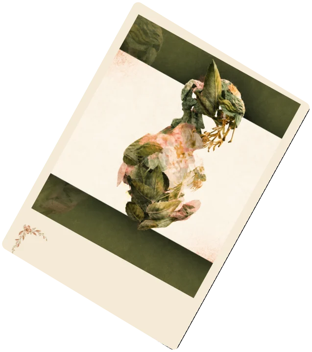 SQUARED Leveret art card